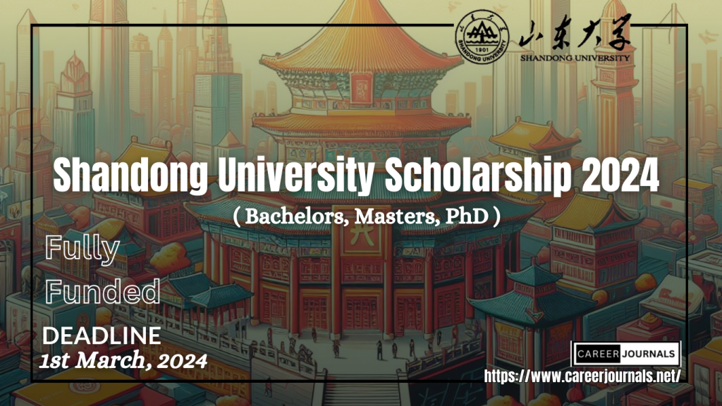 Shandong University Scholarship