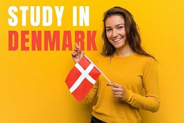 Scholarship in Denmark